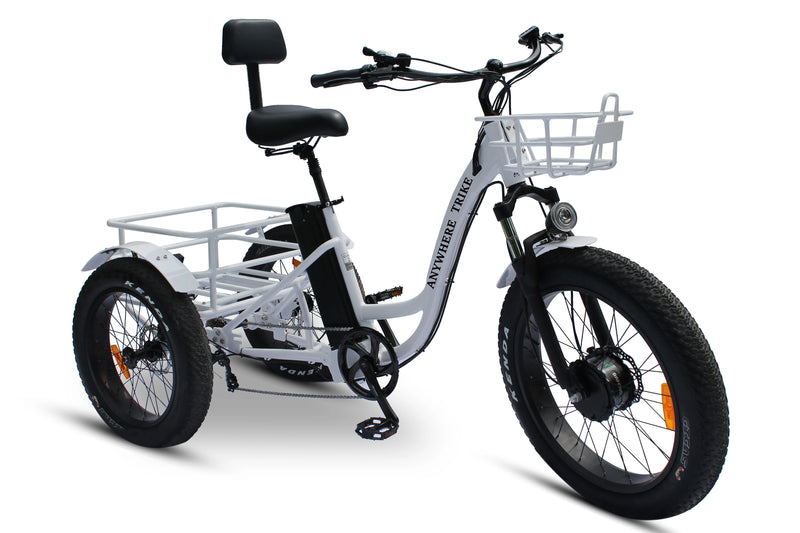 anywhere trike Fat Tire 3 Wheel Electric Ebike Grey