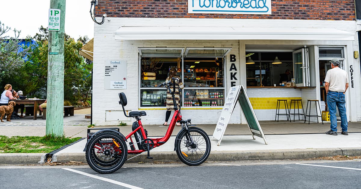 Addmotor citytri electric trike