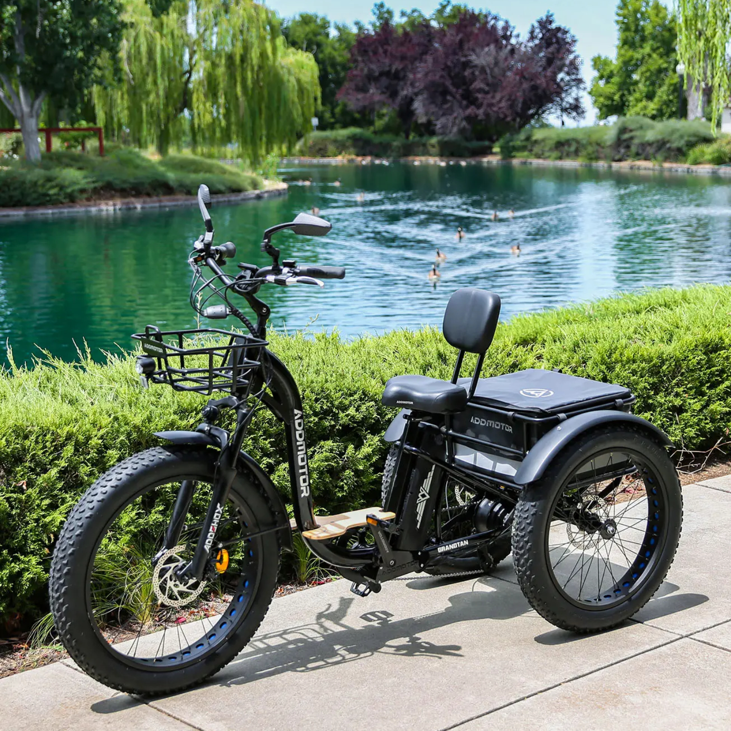 The Ultimate Guide to the Best Electric Trikes for Seniors in 2026: A Deep Dive