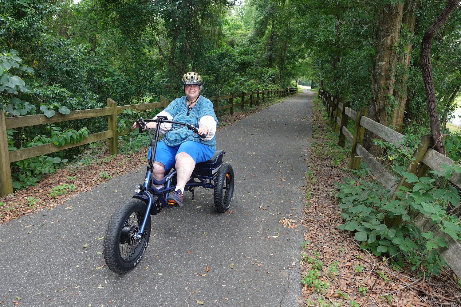 m-360 semi-recumbent fat tire electric trike for adults in Blue