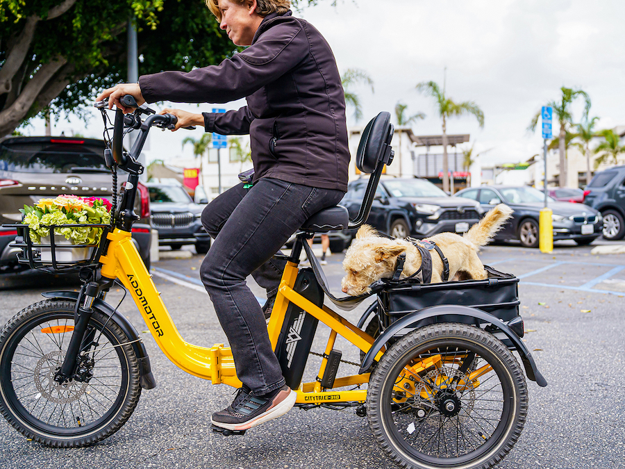 Addmotor Citytri e trike with dog at the rear basket