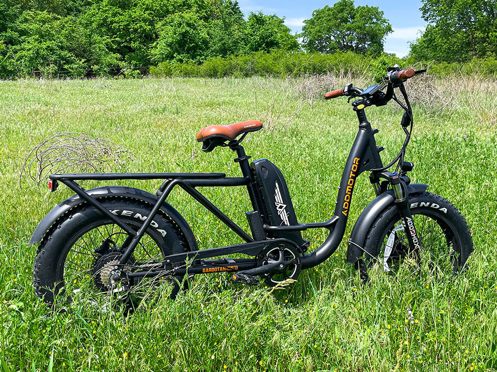 Cargo eBikes