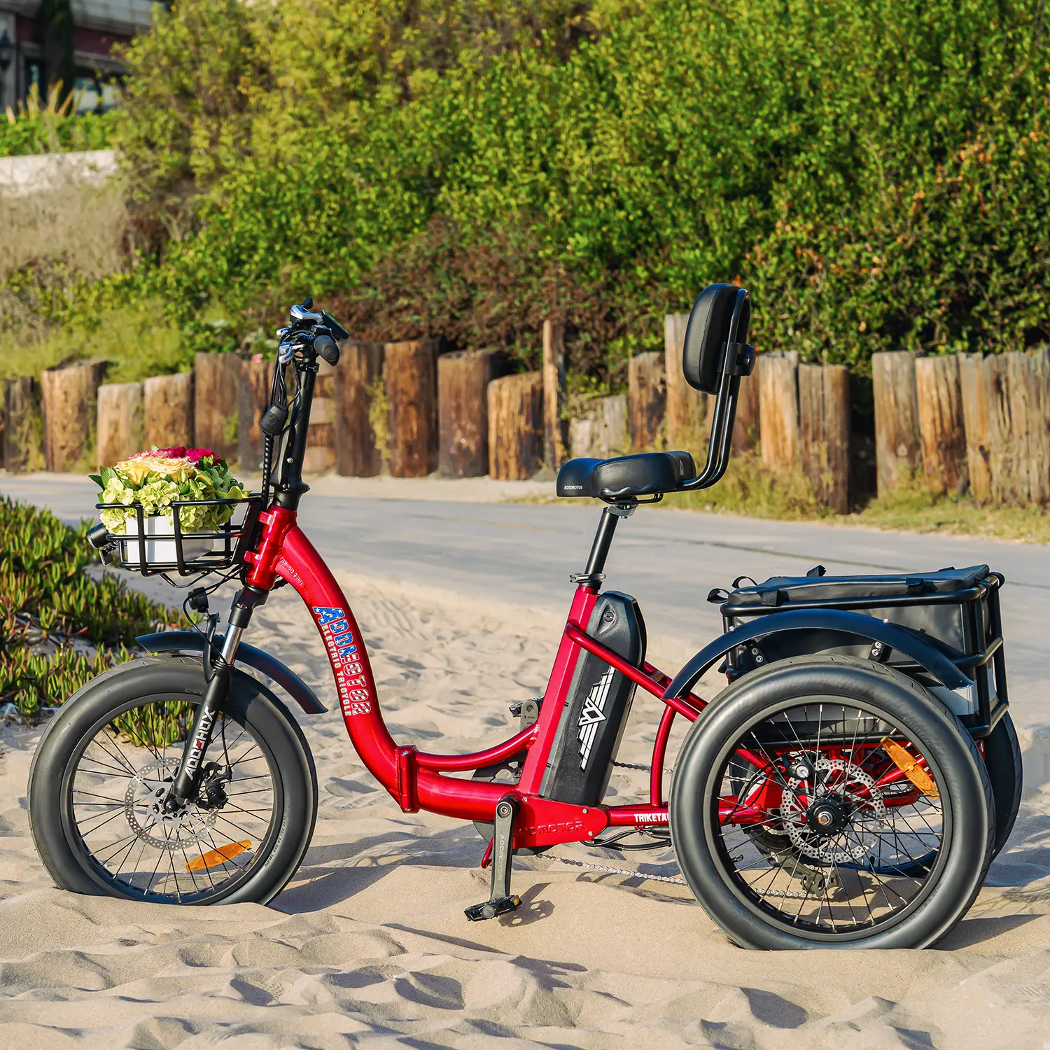 11 Mistakes to Avoid When Buying an Electric Trike