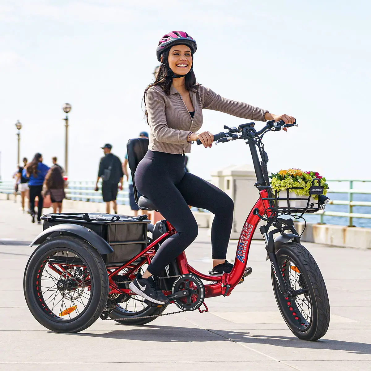 Comparing Addmotor Electric Tricycles with Mooncool Tricycles