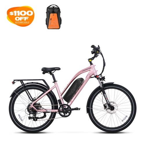 Citypro E-43 eBike (Canada Version)