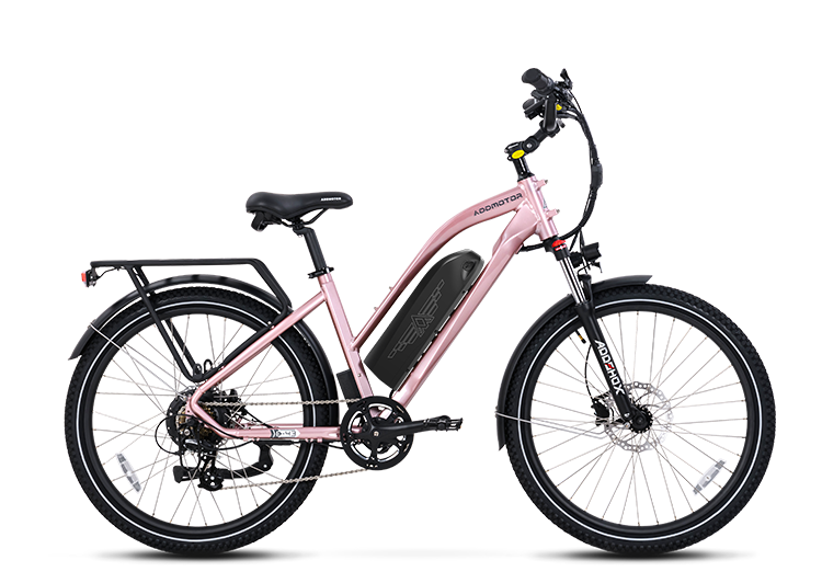 Citypro E-43 eBike (Canada Version)