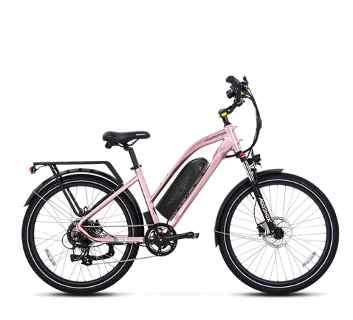 Citypro E-43 eBike (Canada Version)